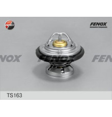TS163 FENOX Термостат
